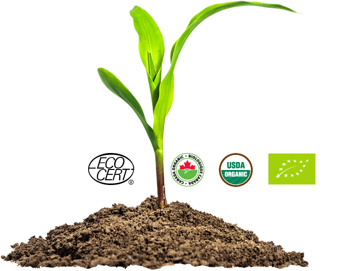 Agriculture biologique