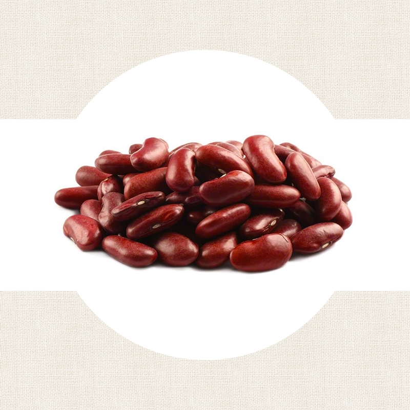 Haricots Rognon rouges foncés