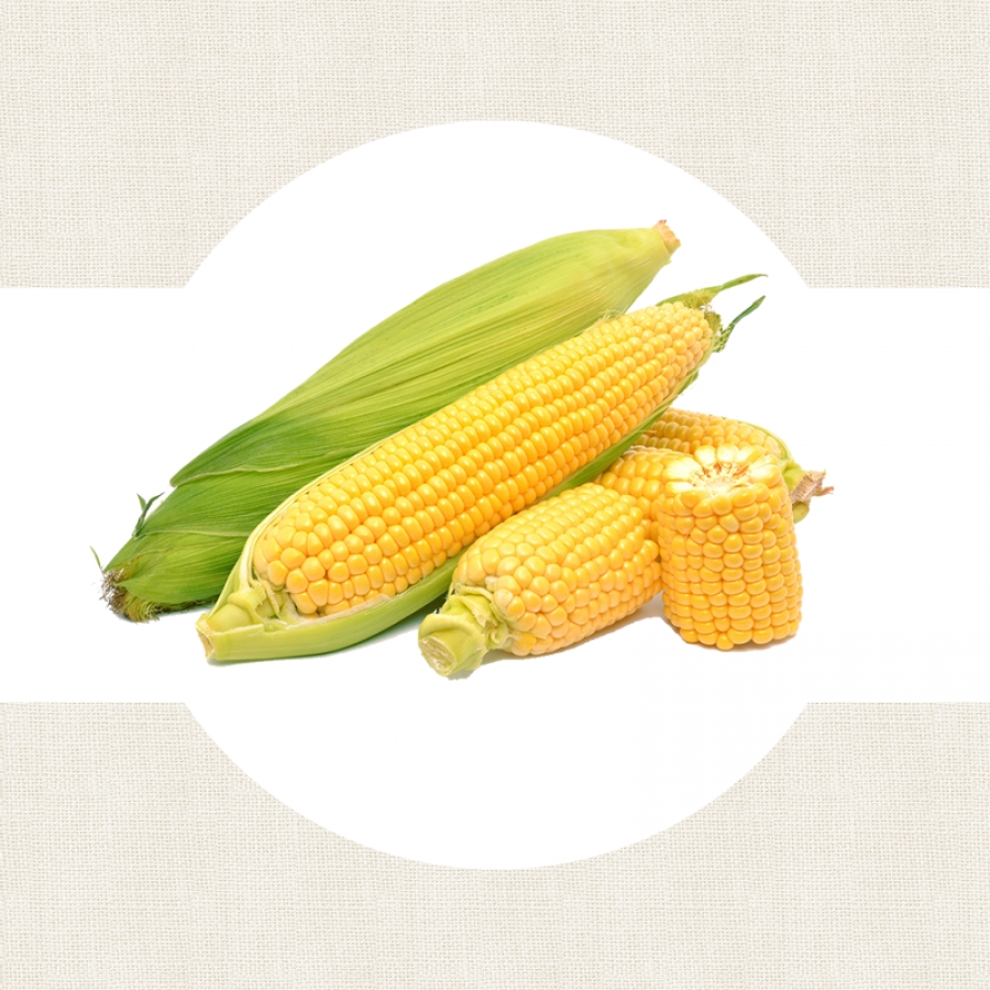 Maïs sucré